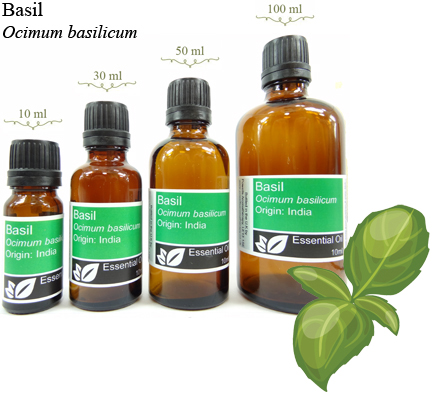 Basil Essential Oil (ocimum basilicum)