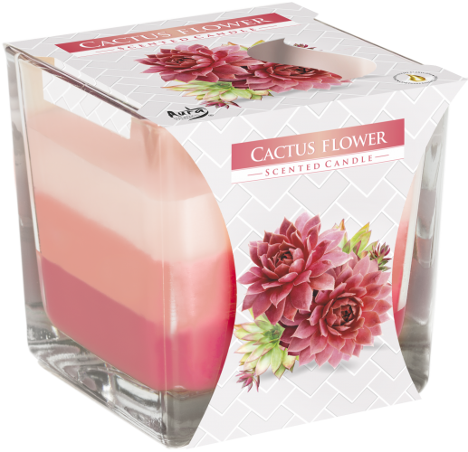 Rainbow Double Wick Scented Candle - Cactus Flower