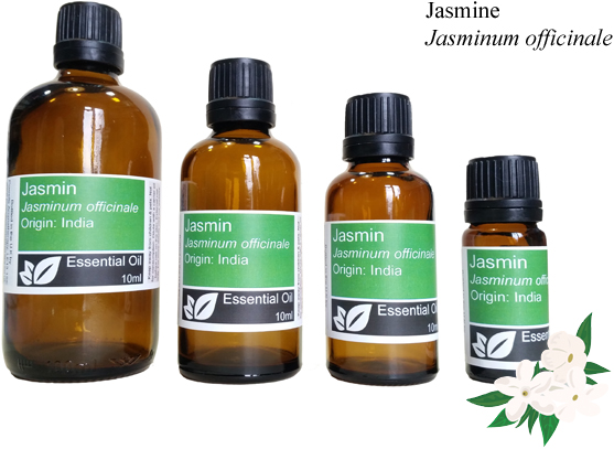 Jasmine Absolute DILUTE 5% Essential Oil in Grapeseed (Jasminium officinale)