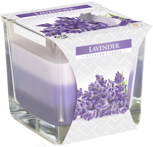 Rainbow Double Wick Scented Candle - Lavender