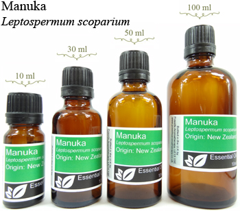 Manuka Essential Oil (Leptospermum scoparium)