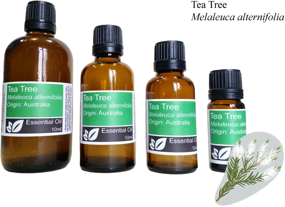 Tea Tree Essential Oil (melaleuca alternifolia)