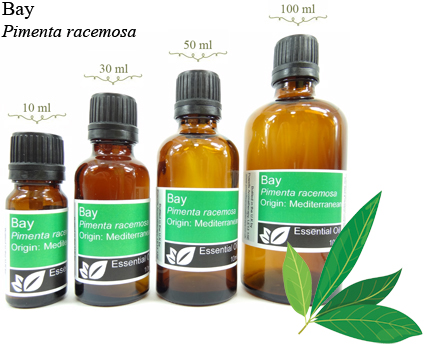 Bay Essential Oil (Pimenta racemosa)