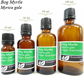 Bog Myrtle Essential Oil (Myrica gale)