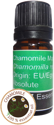 Chamomile Matricaria  Essential Oil ABSOLUTE (matricaria chamomilla) 5ml