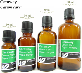 Caraway Essential Oil (Carum Carvi)