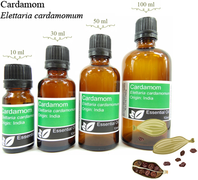 Cardamom Essential Oil (elettaria cardamomum)