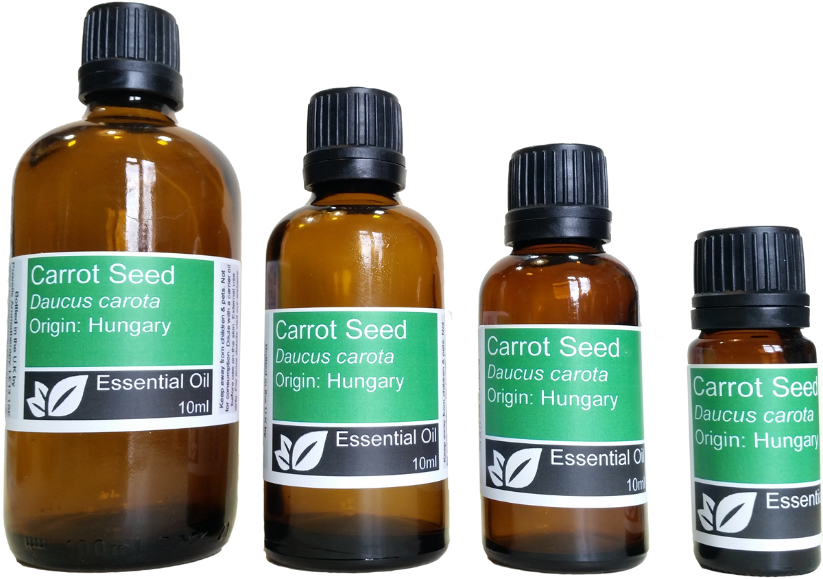 Carrot Seed Essential Oil (daucus carota)