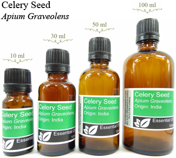 Celery Seed Essential Oil (Apium Graveolens)