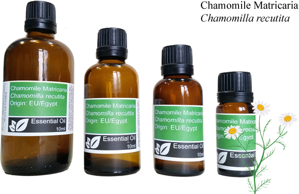 Chamomile Matricaria (German) DILUTE 5% Essential Oil in Grapeseed (matricaria chamomilla) - 10ml
