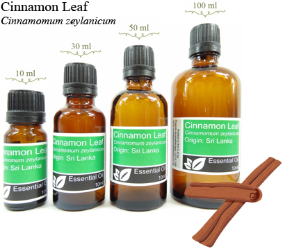 Cinnamon (Leaf) Essential Oil (Cinnamomum zeylanicum)