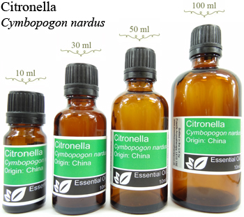 Citronella Essential Oil (cymbopogon nardus)