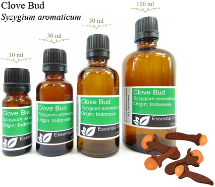 Clove Bud Essential Oil (syzygium aromaticum)