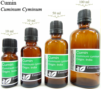 Cumin Essential Oil (Cuminum Cyminum)