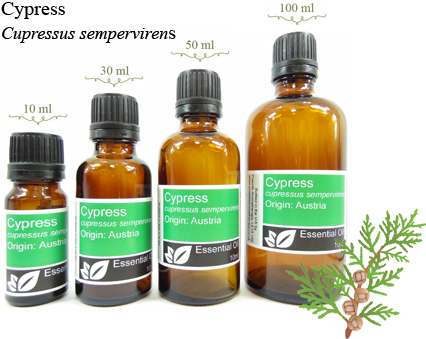 Cypress Essential Oil (cupressus sempervirens)
