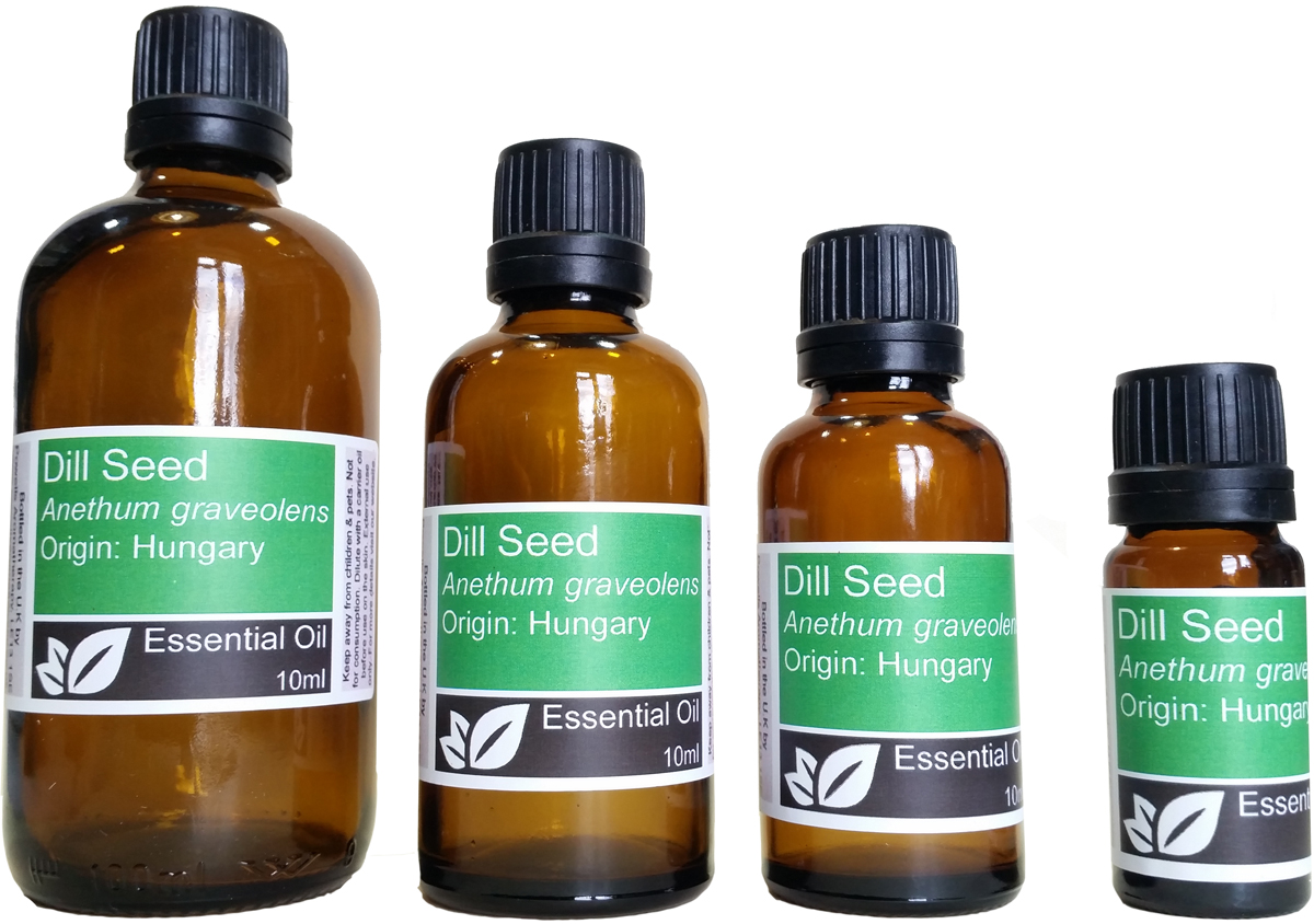Dill Seed Essential Oil (anethum graveolens)
