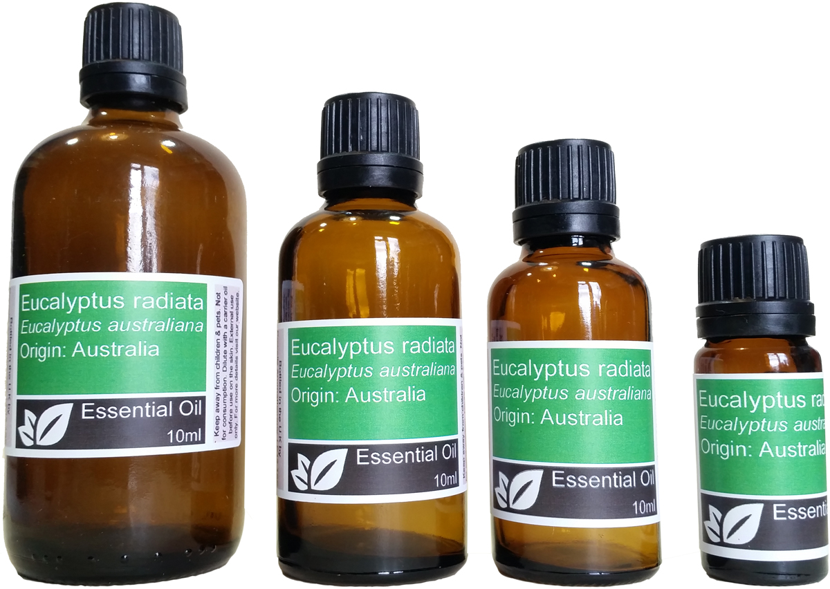 Eucalyptus Radiata Essential Oil (eucalyptus australiana)
