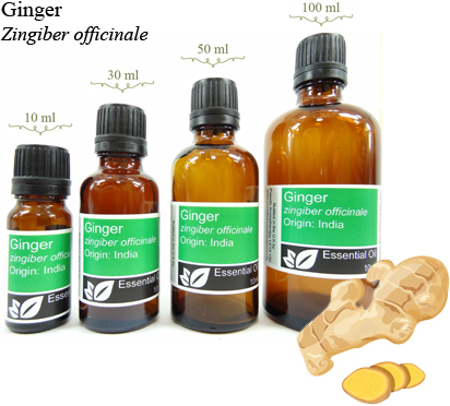 Ginger Essential Oil (zingiber officinale)