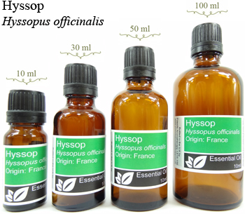 Hyssop Essential Oil (hyssopus officinalis)