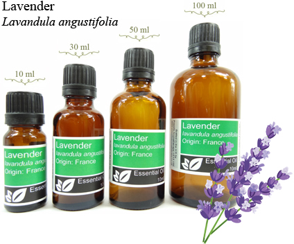 Lavender Essential Oil (lavandula angustifolia)
