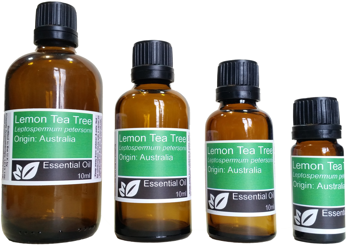 Lemon Tea Tree Essential Oil (leptospermum liversedgei)