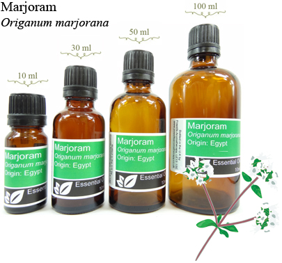 Sweet (French) Marjoram Essential Oil (origanum marjorana)