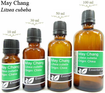 May Chang Essential Oil (litsea cubeba)