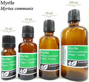 Myrtle Essential Oil | Benefits | Uses | Powells Aromatherapy