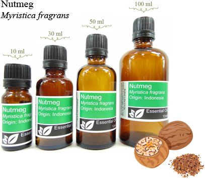 Nutmeg Essential Oil (myristica fragrans)