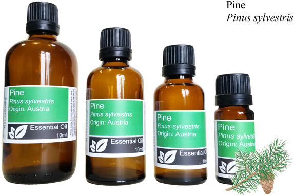 Pine Essential Oil (pinus sylvestris)