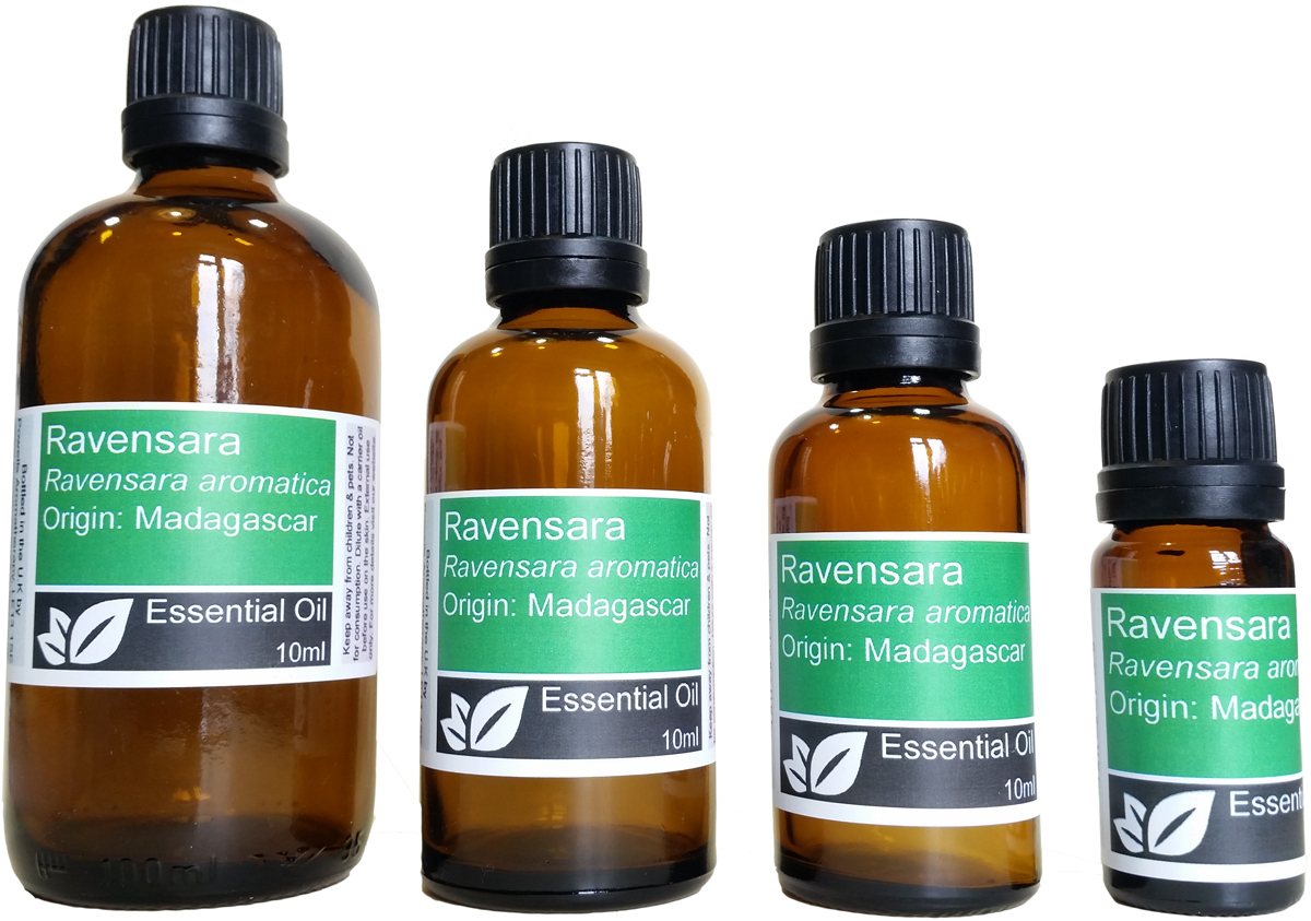 Ravensara Essential Oil (ravensara aromatica)