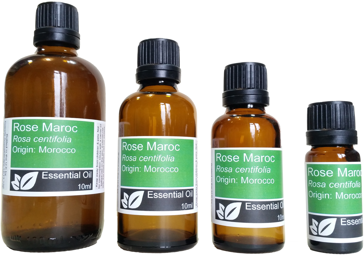Rose Maroc DILUTE Essential Oil 5% in Grapeseed (rosa centifolia) - 10ml