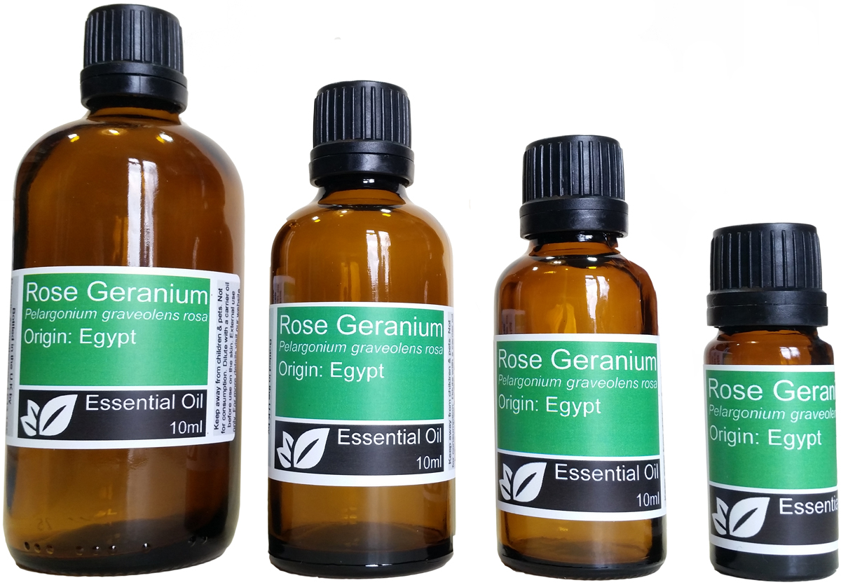 Rose Geranium Essential Oil (pelargonium graveolens rosa)