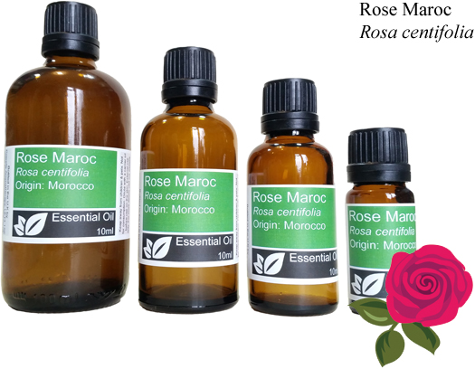 Rose Maroc Essential Oil Blend - DILUTED 5% in Grapeseed (rosa centifolia) - 10ml
