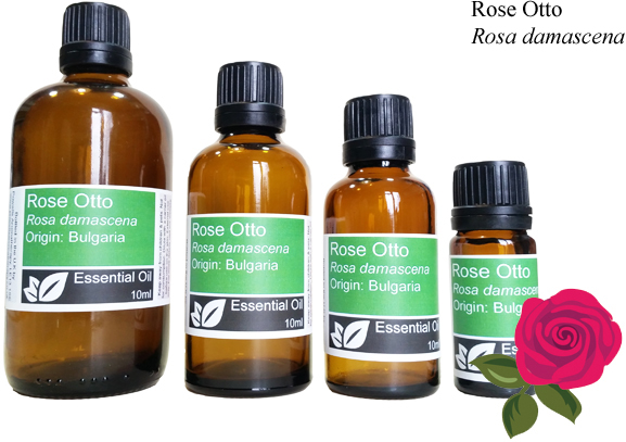 Rose Otto DILUTE Essential Oil Blend - DILUTED 5% in Grapeseed (rosa damascena) - 10ml