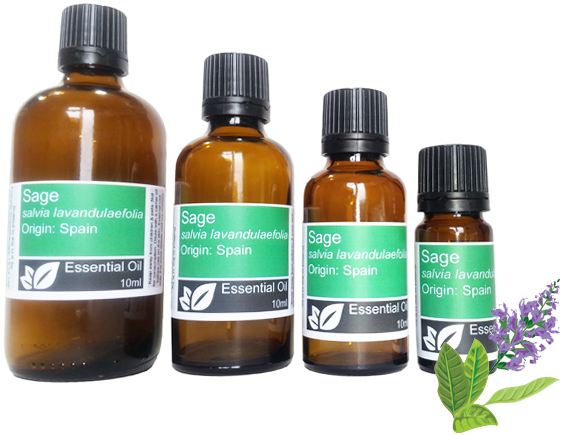 Sage Essential Oil (salvia lavandulaefolia)