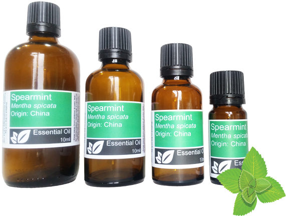 Spearmint Essential Oil (mentha spicata)