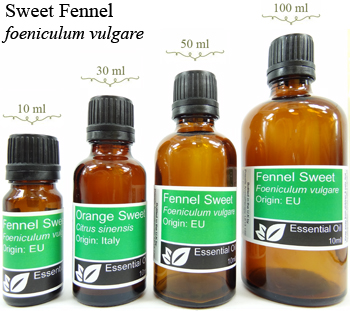 Sweet Fennel Essential Oil (foeniculum vulgare)