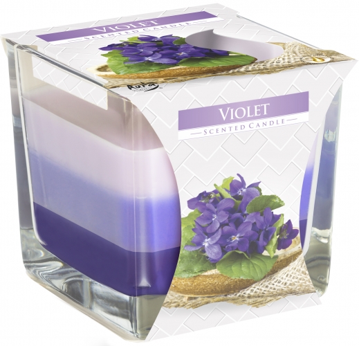Rainbow Double Wick Scented Candle - Violet