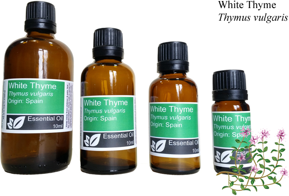 White Thyme Essential Oil (thymus vulgaris)
