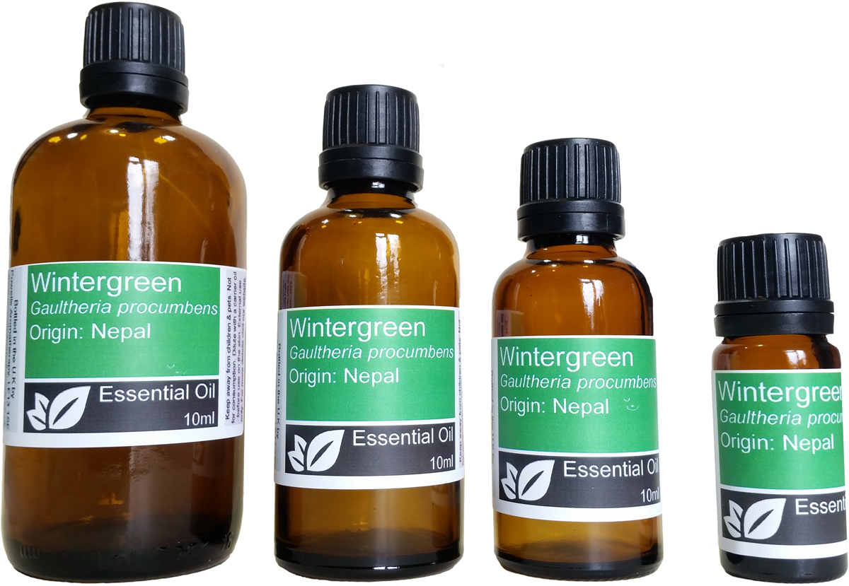 Wintergreen Essential Oil (gaultheria procumbens)